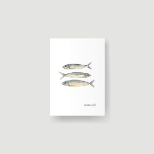 Sardinas